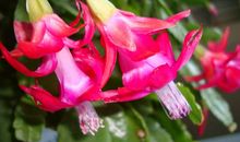 未来半个月，4属相生意兴隆，生活顺利，赚钱不少，横财在握