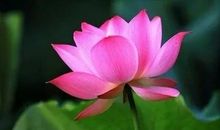 生肖马：不简单！大囍不怕晚，10月“喜神”送来“红双喜”，不接不灵！