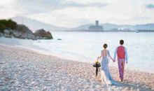 生肖属猪与鸡的人，将来的感情合不合？