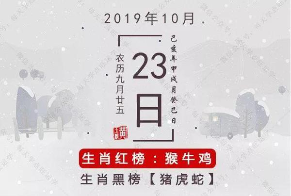 10月23日生肖运势 | 生肖蛇得不偿失？