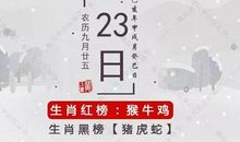 10月23日生肖运势 | 生肖蛇得不偿失？
