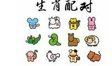 八字姻缘算命-属相配对大全