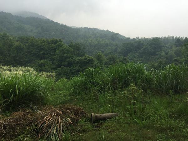 风水案例：风水大师王君植湖南看风水金星宝地，长沙衡阳风水培训弟子随师学习 2