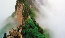 遇到真爱智商变低，被恋爱把持的生肖女