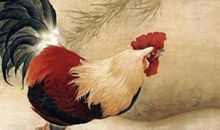 玄清风水命理：2019年结束前，求财顺利，官运亨通，咸鱼翻身的3生肖