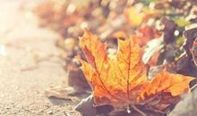 光棍节前最难脱单的星座