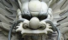 属龙和什么合得来 属鼠属猴最登对