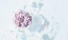 揭秘12生肖女不为人知的隐藏魅力