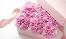 十二星座男哄女朋友的心态