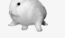 10月23到25号3天福气到，日子越过越红火，财运滚滚来的几个生肖