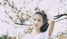 生肖猴、马、羊、蛇（23，29）运势解析