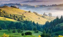 姓公羊的名人有哪些？