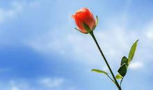 感情之路前路坎坷，找到自己正缘之后，却也是幸福无比，三生肖