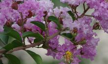 11月运势上涨，聚财一流，3喜临门的生肖，富贵满满，大赚特赚