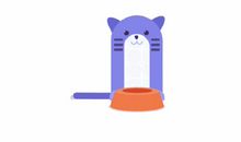 不要用冷漠回应双鱼座的爱！