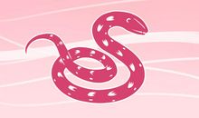 独立的三大生肖！将生活中的苦难，变成他们最严酷的挑战。