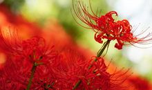 财富天降，好运追随的3大生肖，下半年财气越来越顺，事业有成！