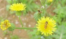 最近3天3生肖能够快速发大财，大钱小钱都进腰包，让人刮目相看