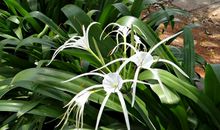 10月底，运势滔滔，财运不断，双喜临门的大3生肖