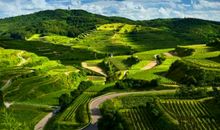 跟老公朋友会共患难，却不喜欢共享福的生肖女