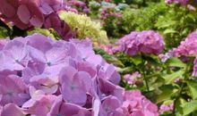 11月运势飘红的3个生肖，从此不受穷，好多人都很羡慕