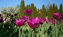 11月有贵人相助的三生肖，福气冲天，日子一天比一天好！