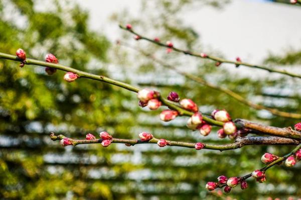 未来七天“行大运”，运势突飞猛进的3生肖，穷人逆袭成富豪 1