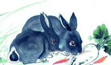 今日，兔，鸡，牛生肖人运势分析