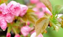 3生肖的好日子到来了，11月财富一路走好运，一路发财到年底