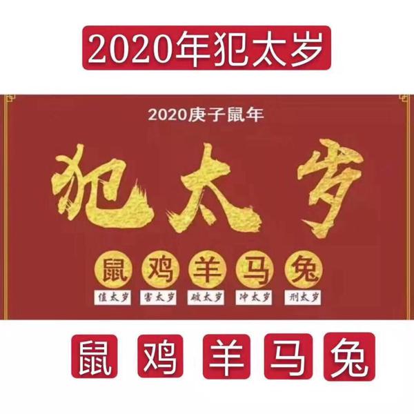 梵心老师:2020年12生肖综合运势预测