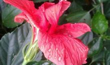 天生自带财运的生肖女，有她的家庭，钱财积聚成山，注定不会穷