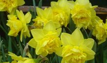 哪怕再爱你，也矜持万分！三大星座羞羞答答，招人爱