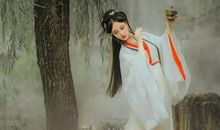 中年后，财气越来越旺的生肖