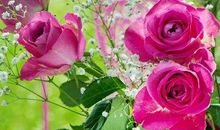 中年之后财神眷顾的生肖女，不仅老公能发财，子女也能出息致富