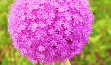 11月生意先红，贵人后助的生肖，财源滚滚来，荣华富贵过一生