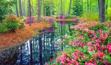 3生肖不得了，“不声不响，黄金万两”，9月发财又中奖，10月桃花不断大喜缠身