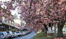 吸引亚洲买家目光 澳大利亚新兴建筑更注重风水