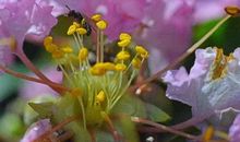 特大好消息！8月一过财滚滚，9月一到福临门，3生肖不得了，想啥就来啥