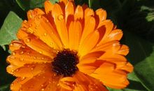 未来10天3生肖有望财神降临，财运暴涨，正财赚不停！