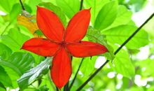 明天开始好运来，命里多贵人，生活会变得更加富裕的四属相