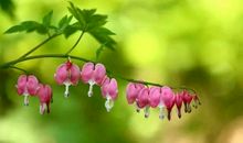 懂得疼老婆的3生肖男，婚后跟老婆吵架后，从来都会主动认错