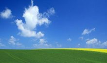 2019猪年出生的向姓男孩怎么样起名字 姓向男孩好名推荐(图文)