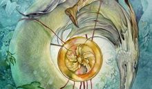 连娜塔罗牌占卜：结婚后在物质生活上你会是一个富有的人吗？