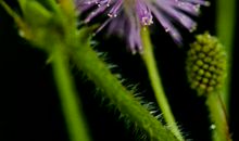 11月开始，运势站在4属相一边，福气很多，命中藏金，轻松发财