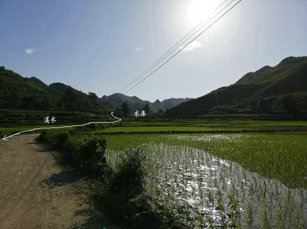 風水培訓:楊公風水大師王君植實戰尋龍點穴,金氏葬留題風水寶地富貴