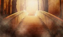 好听的探探名字推荐