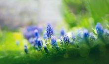 虽然强大，但从不会欺负弱小的三大星座，为人仗义，总被人所仰慕