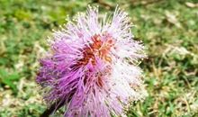 10月中旬一过，4属相添丁添喜添福气，喜上眉梢，好运不断进家门