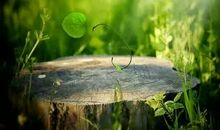 「生肖运势」11月份时运不佳的几个生肖，事先知道就能消灾免祸！