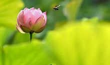 11月顺风顺水，财运显露，钱财大赚的4个生肖